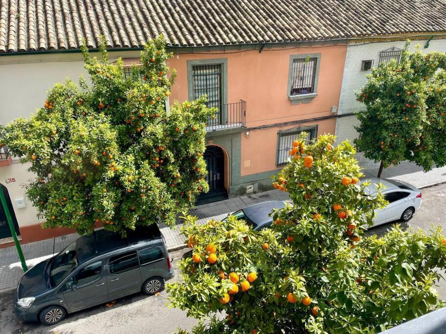 El Balcon De Los Naranjos Córdoba Kültér fotó